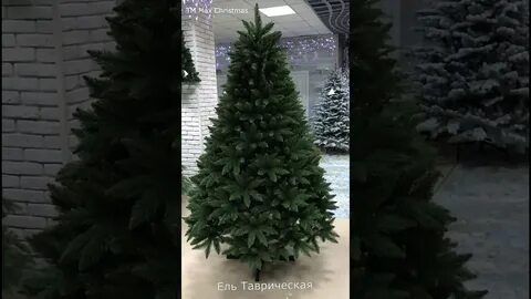 Max christmas отзывы