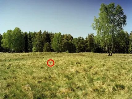 Где находится снайпер