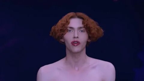 Sophie's перевод