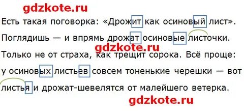 А есть такая поговорка