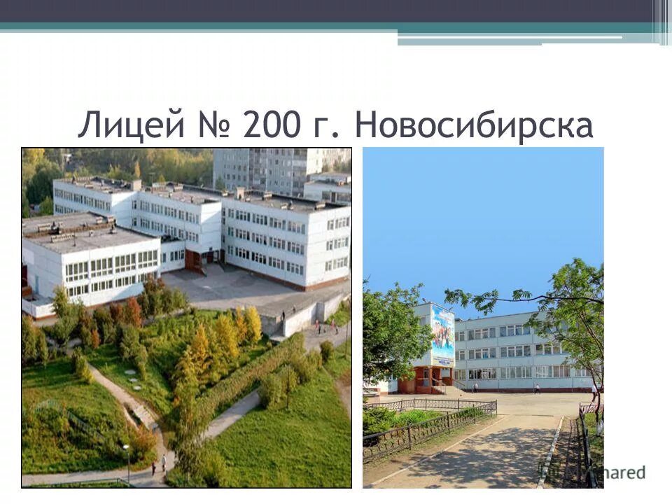 22 лицей новосибирск. муниципальное бюджетное общеобразовательное учреждение лицей № 1. гимназия 3 великий новгород. лицей 200. лицей 200.
