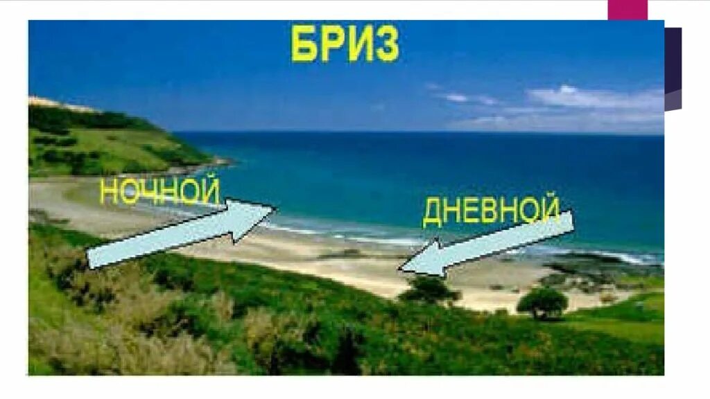 Жизнь на суше география 6 класс. Бриз ветер. Бриз это в географии. Что такое ветер Бриз в географии. Морской Бриз ветер.