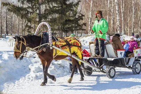 На лошадке в санках