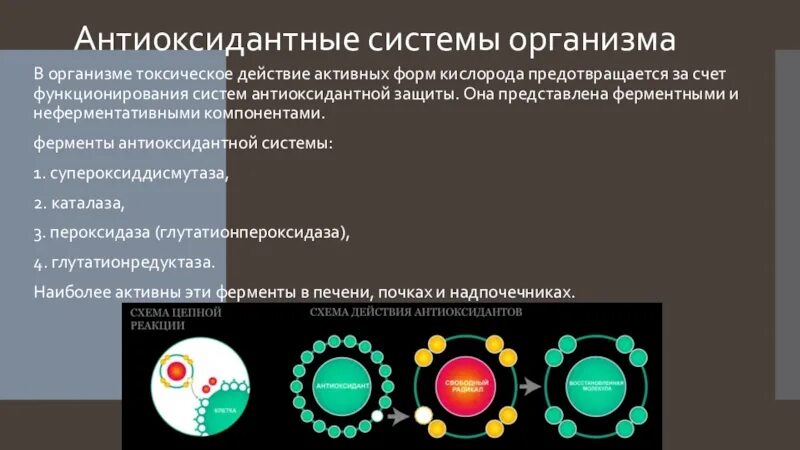 Группа ее функционирование. Антиоксидантная система. Антиоксидантная защита. Антиоксидантная система организма. Ферменты антиоксидантной системы.