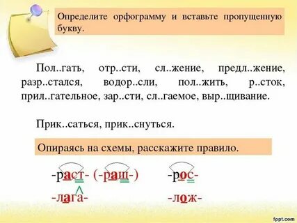 10 слов кос