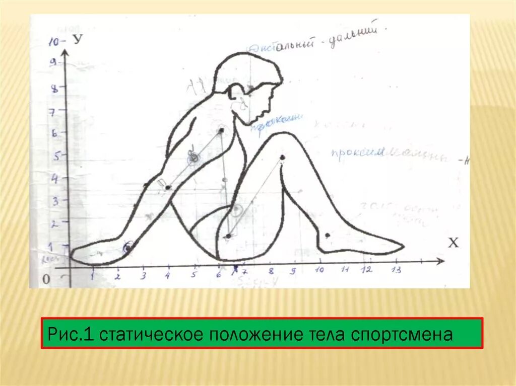 Выберите положение тела. Статическое положение тела человека это. лабораторная работа по биомеханике. человек в статическом положении. практическая работа по биомеханике.