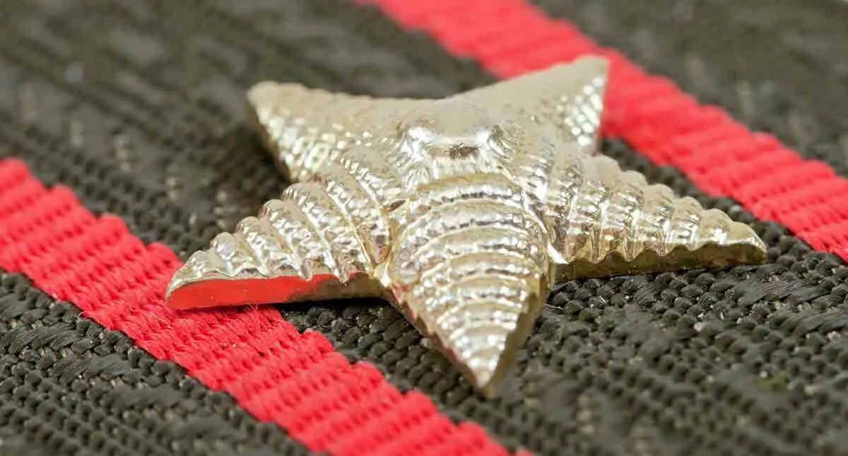 звезды на погонах мм. звезда роза ветров мчс. звезда офицера. звезда военная. звезды на погонах мм.