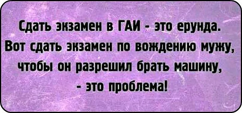 Сдать поддерживать. Экзамен в ГАИ прикол. Анекдоты про экзамены в ГИБДД.