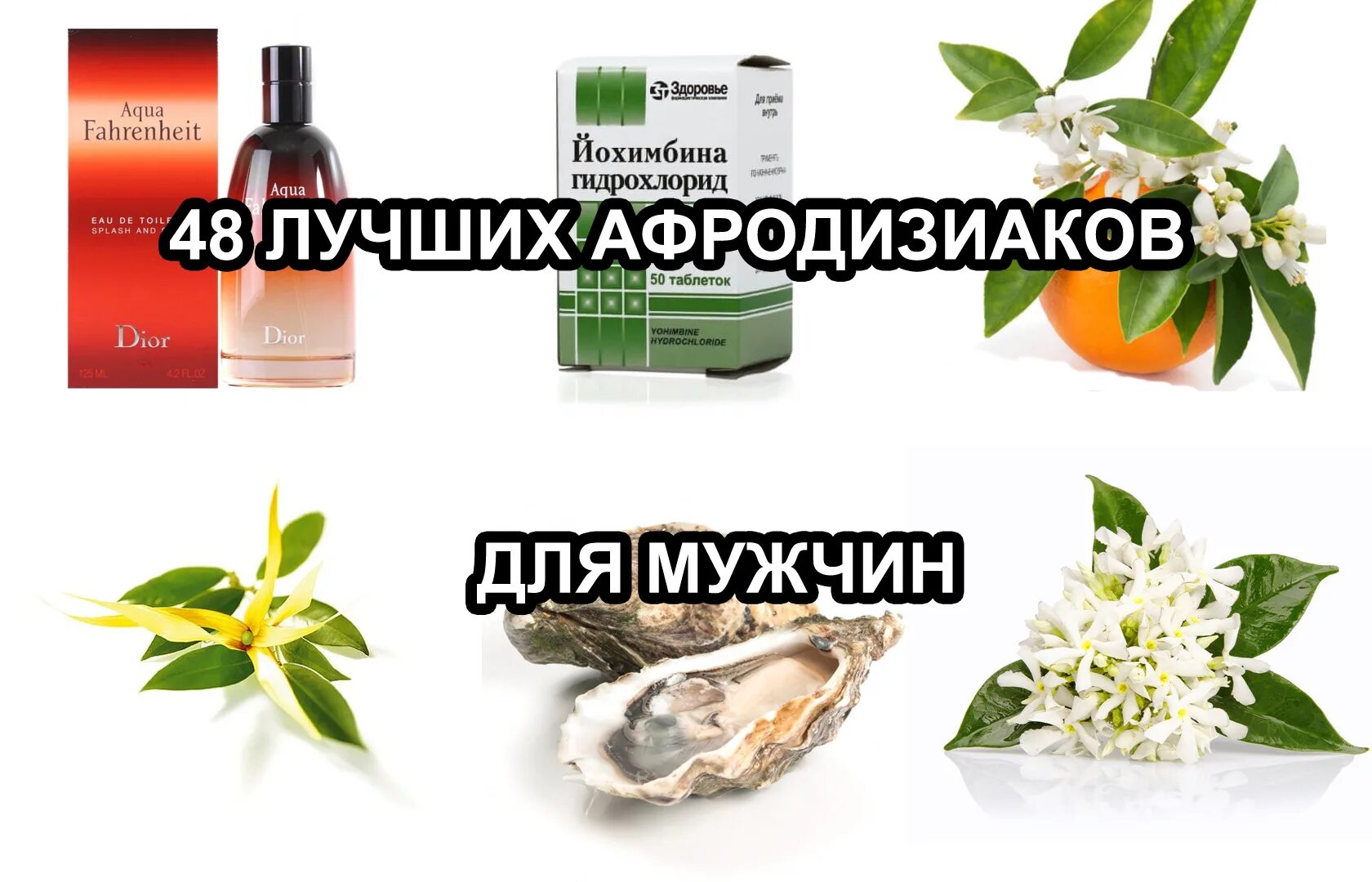 Что такое афродизиак для мужчин простыми словами. Афродизиак для мужчин. продукты афродизиаки. продукты афродизиаки для мужчин. естественные афродизиаки для мужчин.