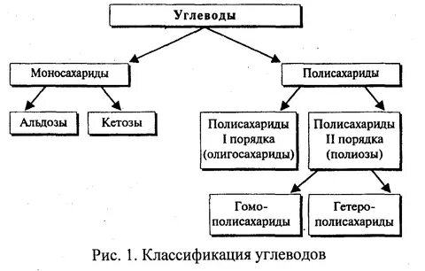 Углеводы 3 группы