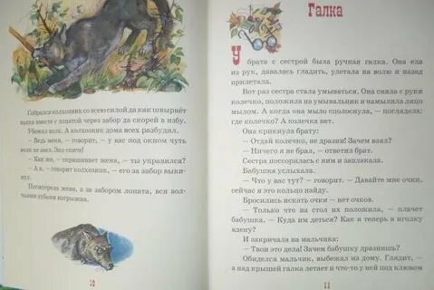 Волки житков читательский дневник