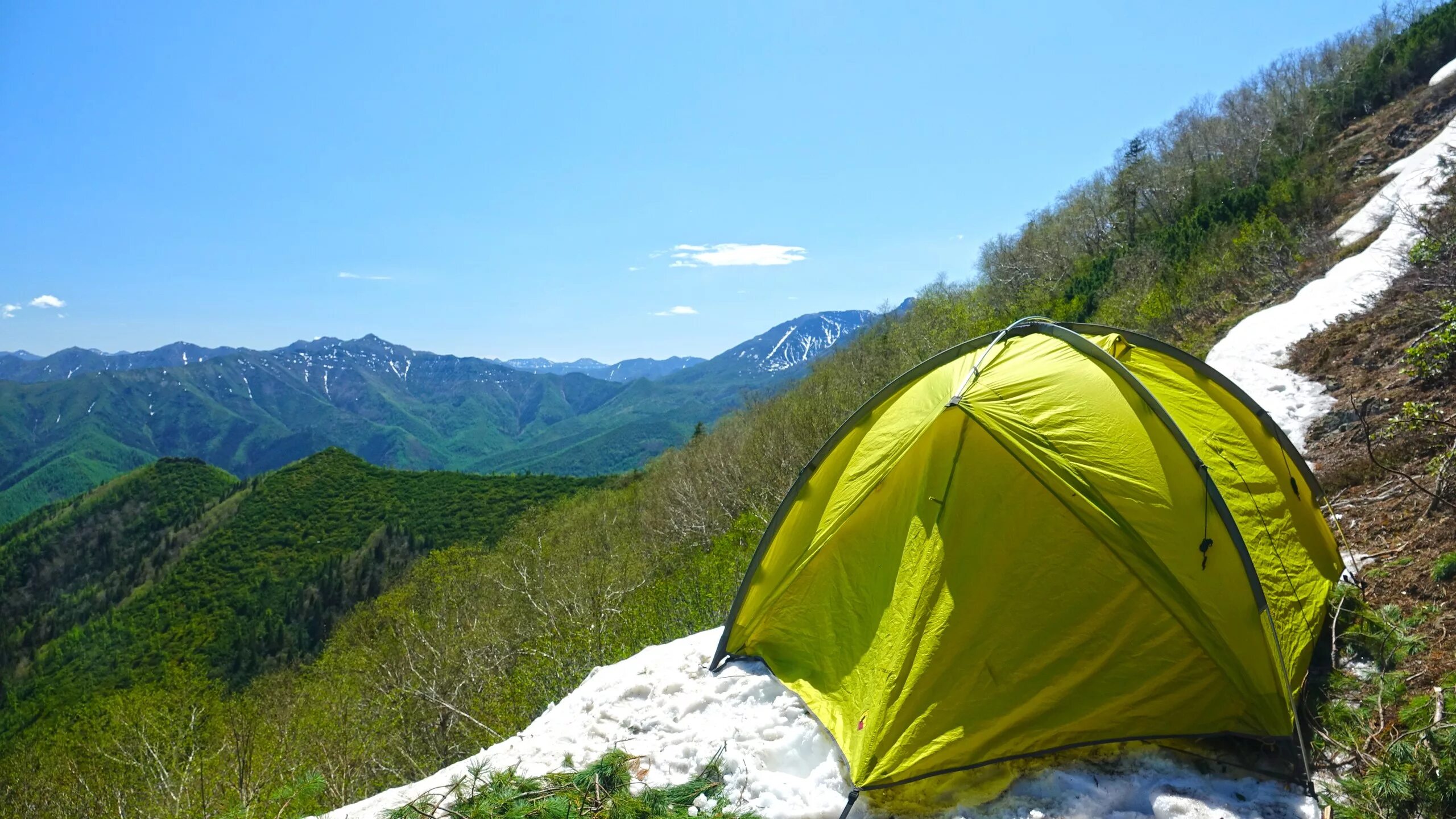 Планета тайга комсомольск-на-амуре. Планета тайга. Зима в лесу. Планета тайга комсомольск-на-амуре. Книги про тайгу.