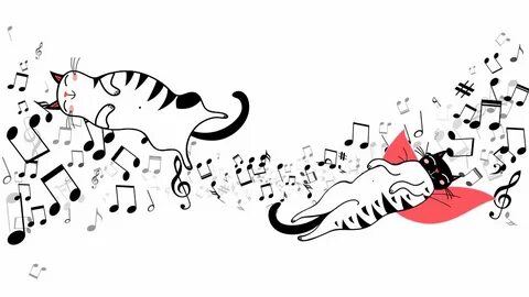 Dancing cats music