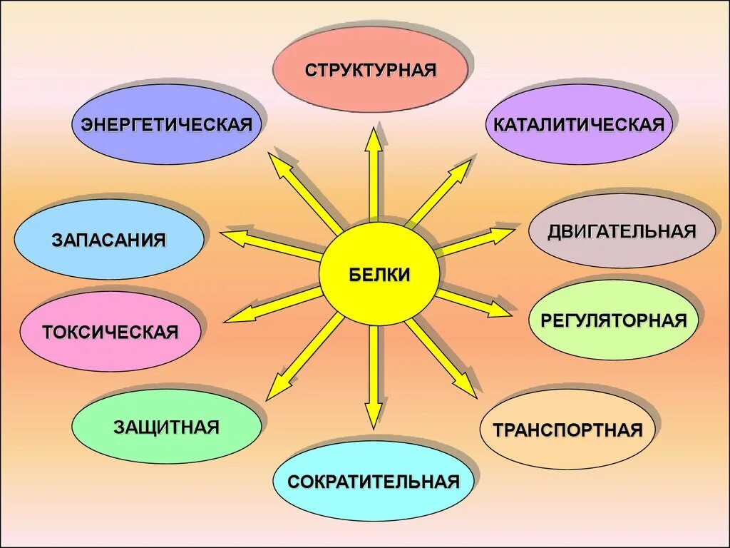 Список функций белков. Функции белков презентация. Белки функции. Белки функции презентация. Токсичная функция белка.