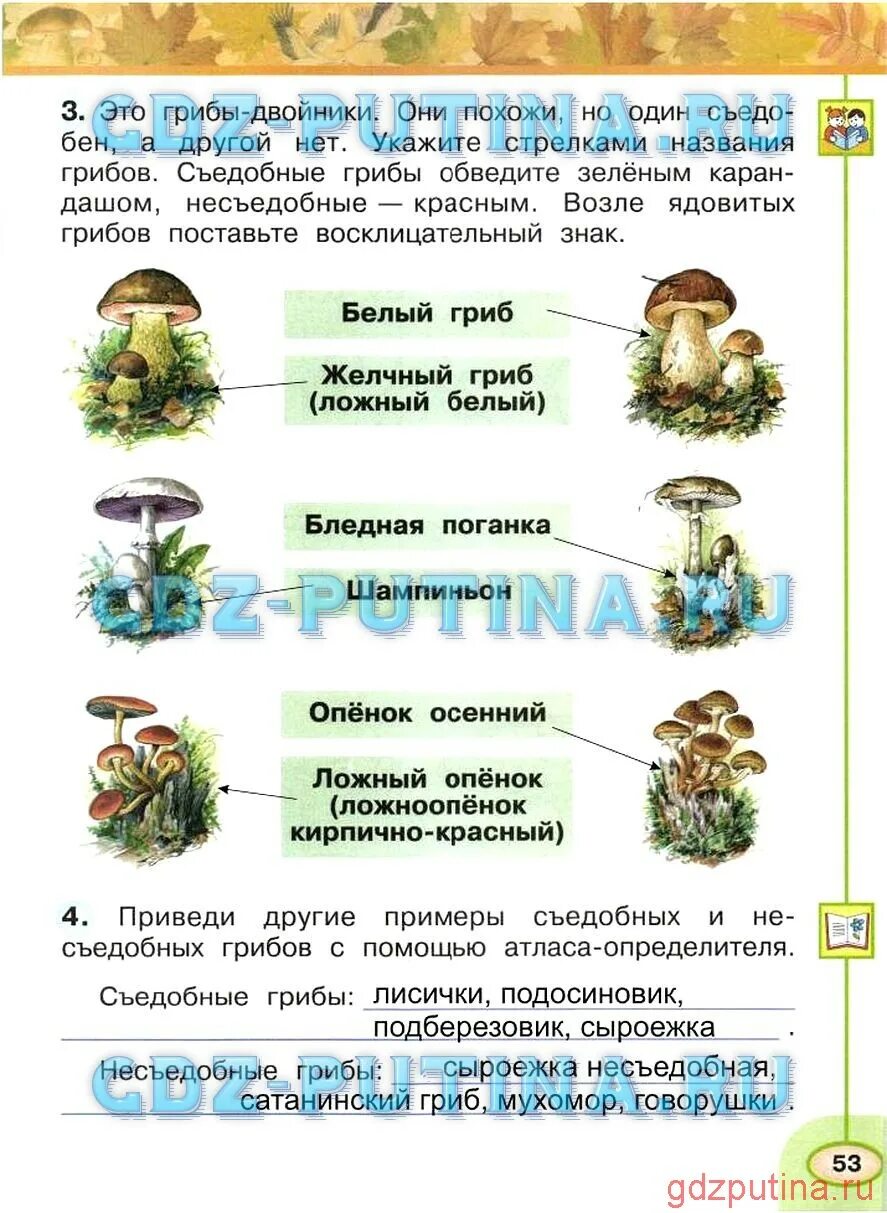 Окружающей 2 класс 1 часть ответы