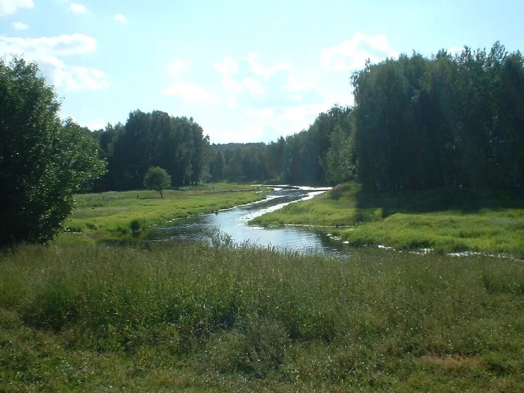 Загорянский фото. Королев клязьма загорянка. Загорянский фото. Дачный поселок загорянский. Поселок загорянский.