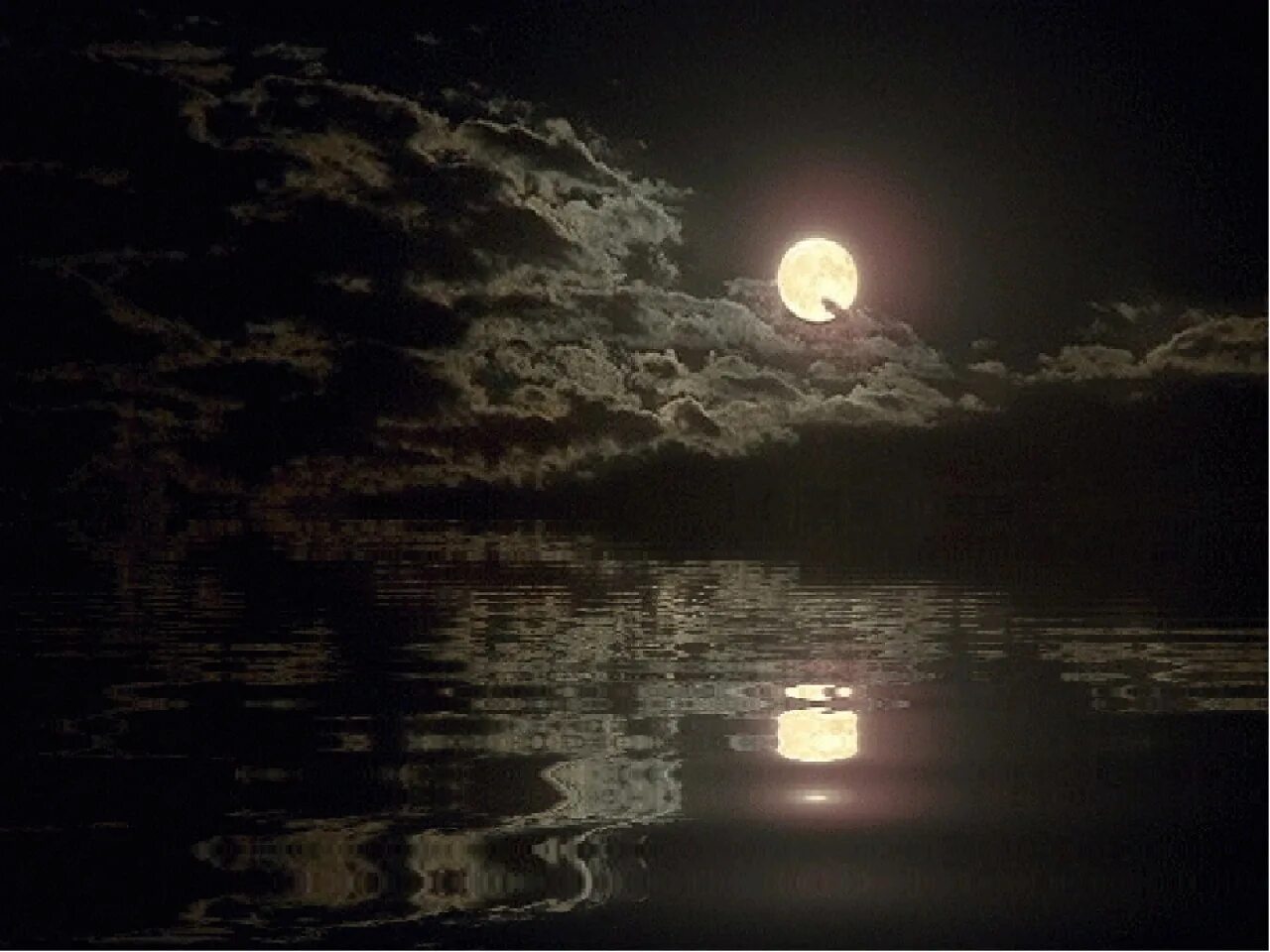 Дорога белела освещенная месяцем. Лунная ночь. Ночь и тишина. Луна. Светящаяся Луна.