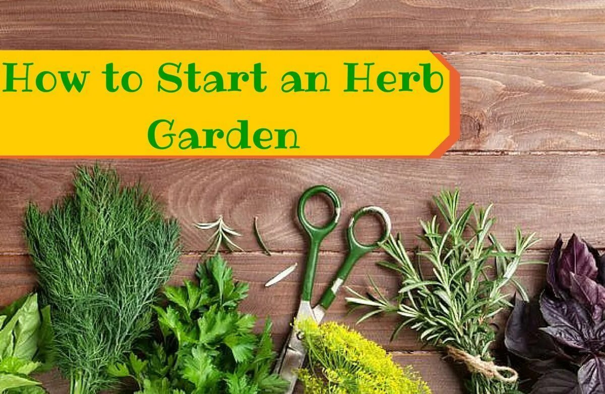 Garden перевод на русский. Herb Gardening for Dummies. Patron: how to get Herbs. The Herb Garden for Cooks. Кастрюли Vegetable Herbs купить лента.