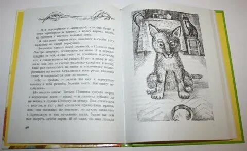 Волки житков читательский дневник