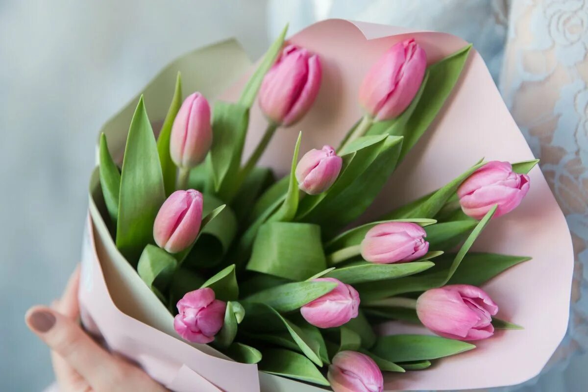 Розовые тюльпаны к чему. Розовый букет тюльпанов 11 шт. Тюльпаны. Нежно-розовый. Монобукет из тюльпанов.