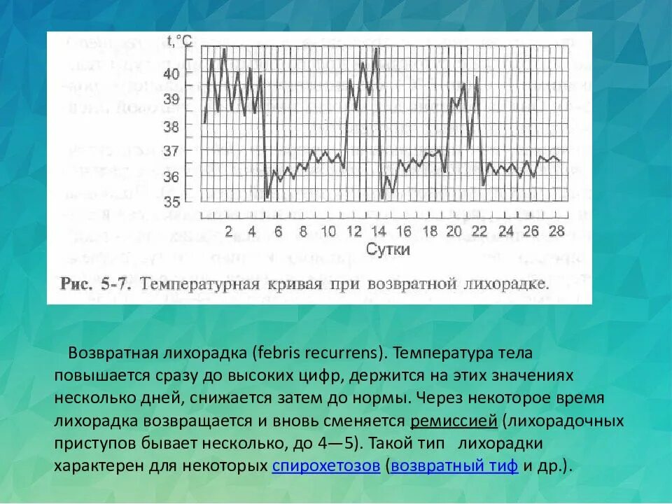 Графическое изображение в температурном листе выполняет