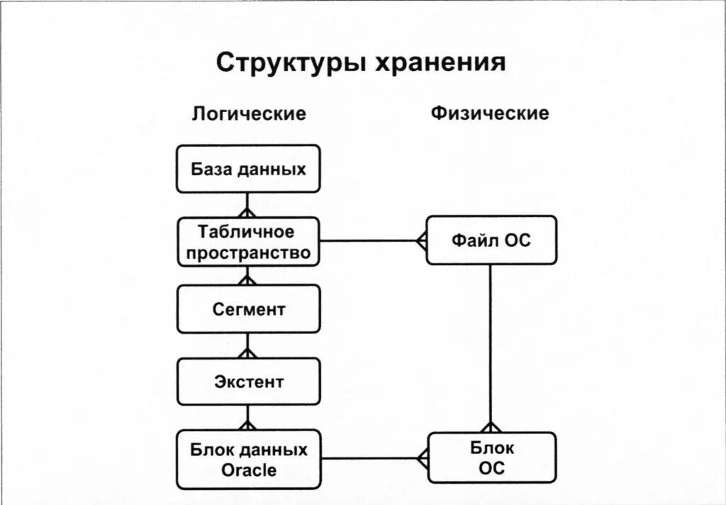 Логическая структура документальной БД. Структура хранения информации в базе данных. Логическая структура базы данных предприятия. Структура для хранения данных в базе данных.