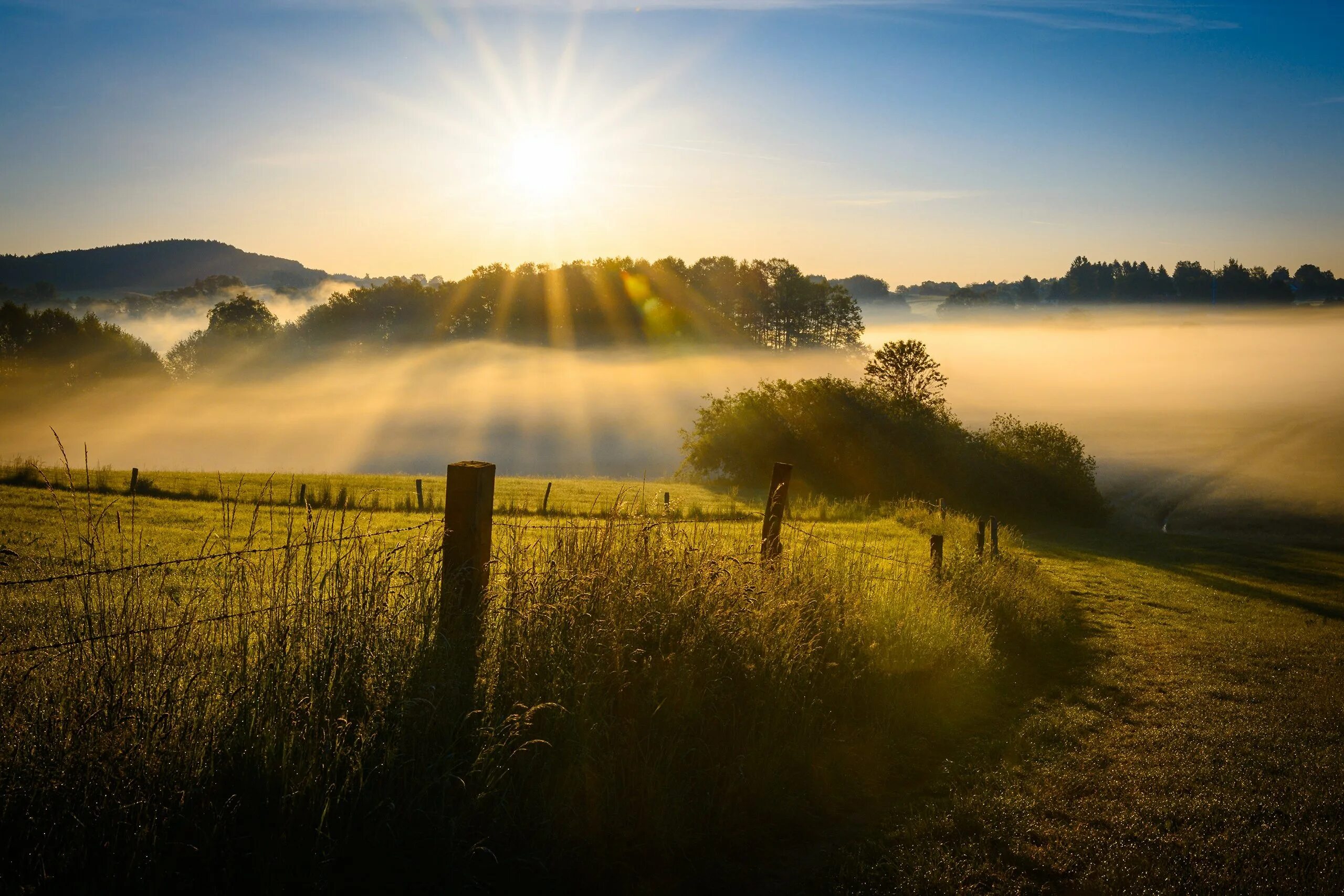 Morning shine. Рассвет туман. Рассвет солнца. Поле солнце. Утро природа.