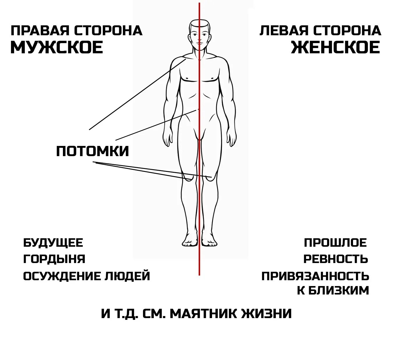 За что отвечает левая часть тела. Психосоматика схема. Женская и мужская сторона тела. Какая сторона тела женская.