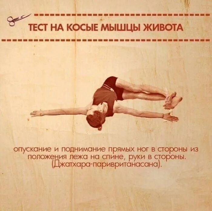 Мышцы работа мышц тест. Тест на силу мышц. тест на выносливость мышц. тест на силу мышц живота. тест.упражнение.на.силы.мышц.