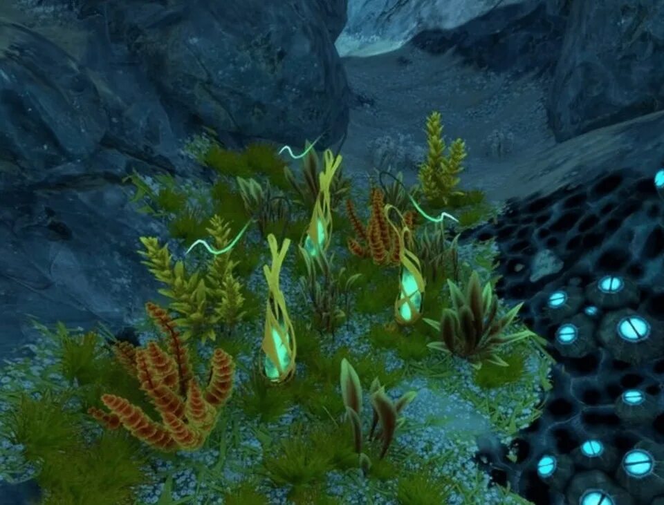 Где найти subnautica below zero найти органы. Subnautica ленточник. ленточник below zero. ленточник субнаутика белоу зеро. сабнатика below zero.