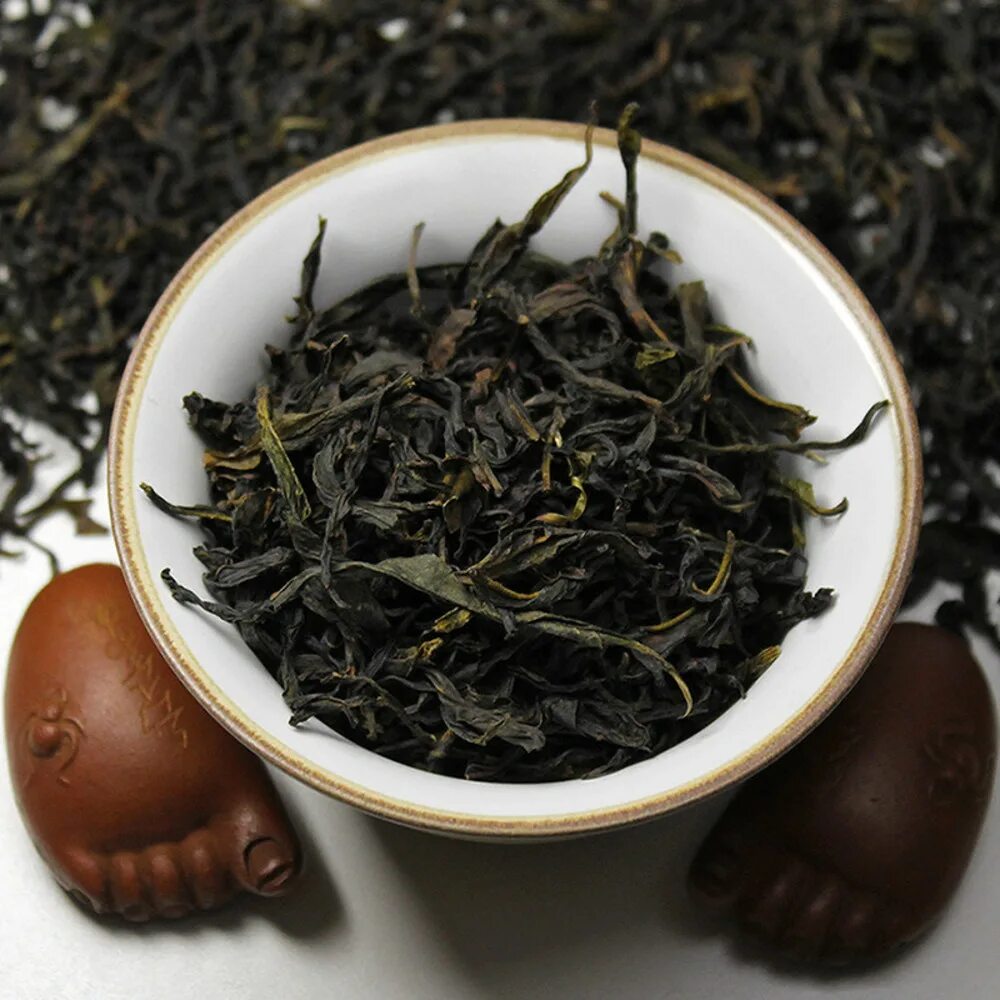 Камелии китайской (camellia sinensis). Зеленый чай (camellia sinensis). Как выглядит чай растение. Camellia sinensis чай. Камелия синенсис чай.