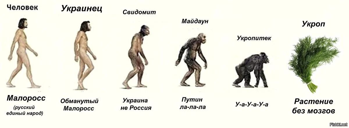 Если человек стал украинцем обратно. Эволюция человека. Эволюция человека мемы. Укропитек деградация. Эволюция и деградация человека.