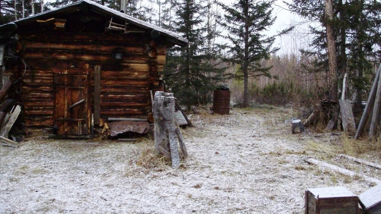 Жизнь охотников в глубинке. Жизнь промысловиков в тайге. Сибирский промысел в тайге охотники промысловики. Промысловая охота в тайге и жизнь в зимовье. Охота.в.Енисейской.тайге.