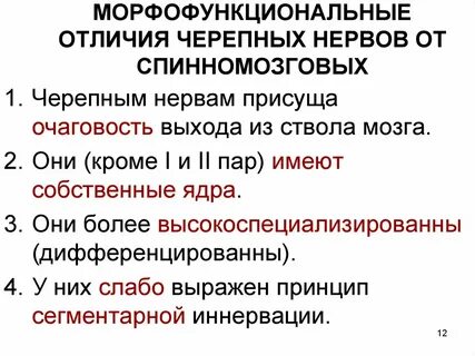 Черепные определение