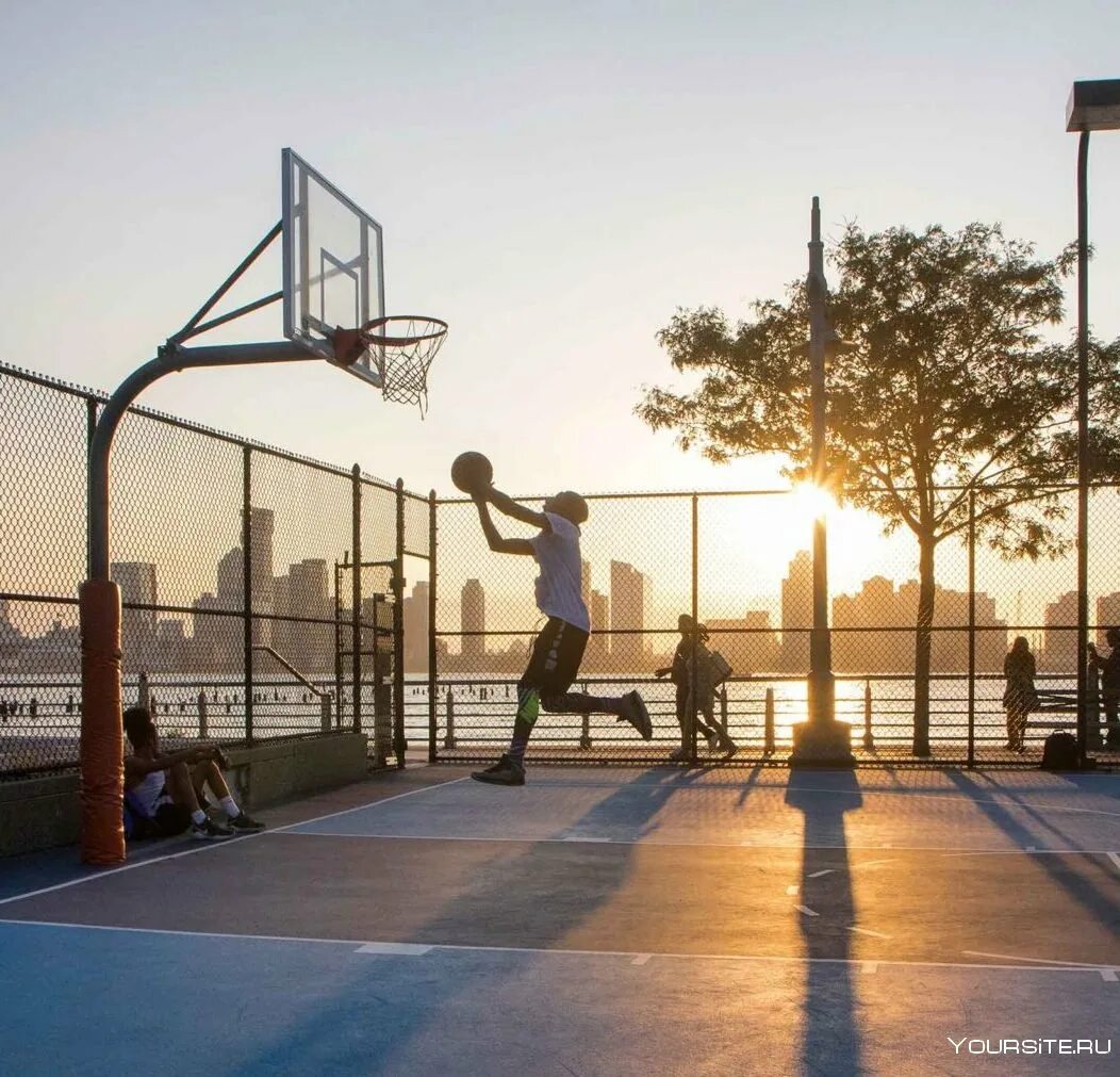 Нью йорк 90х баскетбольные площадки улица. Парк ходынское поле баскетбольная площадка. Mustang на баскетбольной площадке. Ташкент сити баскетбольная площадка. Тюфелева роща парк баскетбольная площадка.