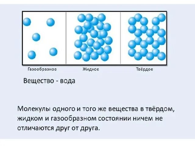 Вещества молекулярного строения вода. Вещества молекулярного строения вода