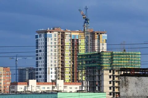 Клевер новосибирск