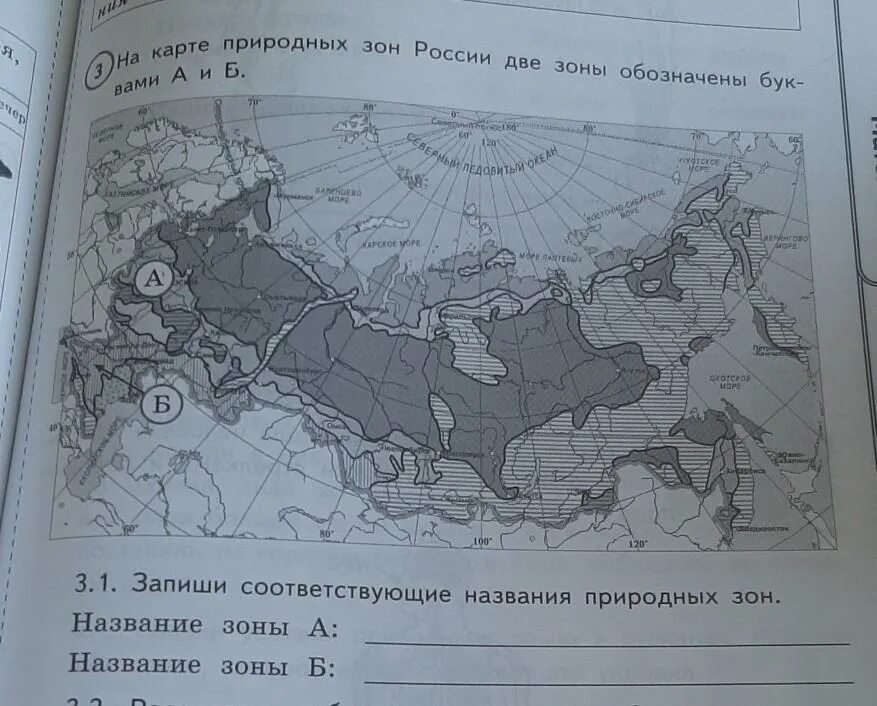 Название природных зон россии а и б