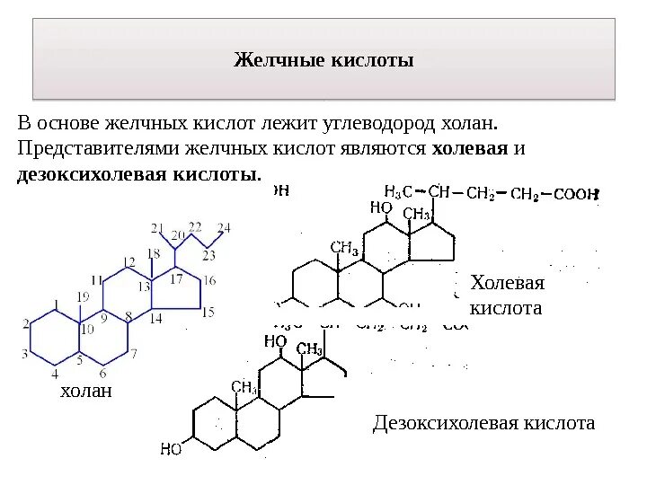 Липиды желчных кислот. Формулы парных желчных кислот. Холевая кислота формула. Желчные кислоты формулы. Предшественник холевой кислоты.