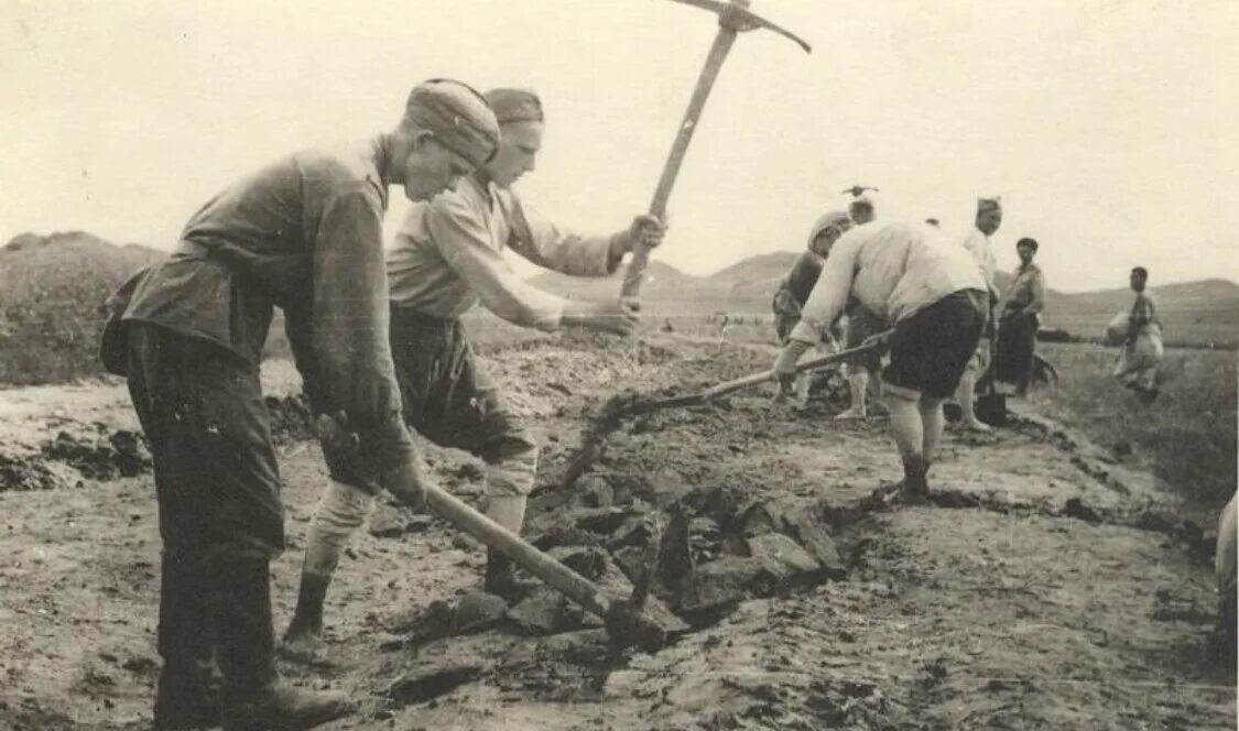 Как люди помогали во время войны. Блокада Ленинграда дети роют окопы. Блокада Ленинграда рыли окопы. Солдаты копают окопы ВОВ. Сурский оборонительный рубеж 1941.