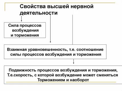 Сила процессов возбуждения