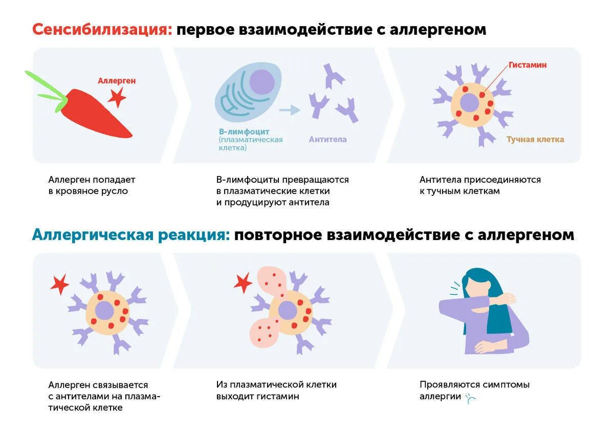 Проблема аллергии. Аллергия на иммуноглобулин. иммуноглобулины при пищевой аллергии. аллергия иммуноглобулин е. аллергия виды с рисунками у детей.