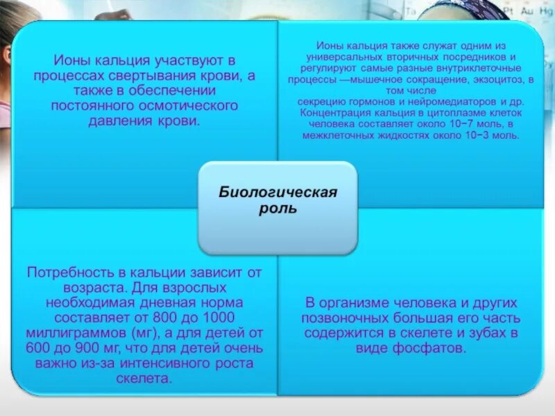 Ионы кальция участвуют в. В каких процессах участвуют ионы кальция. Ионы кальция депонируются в.