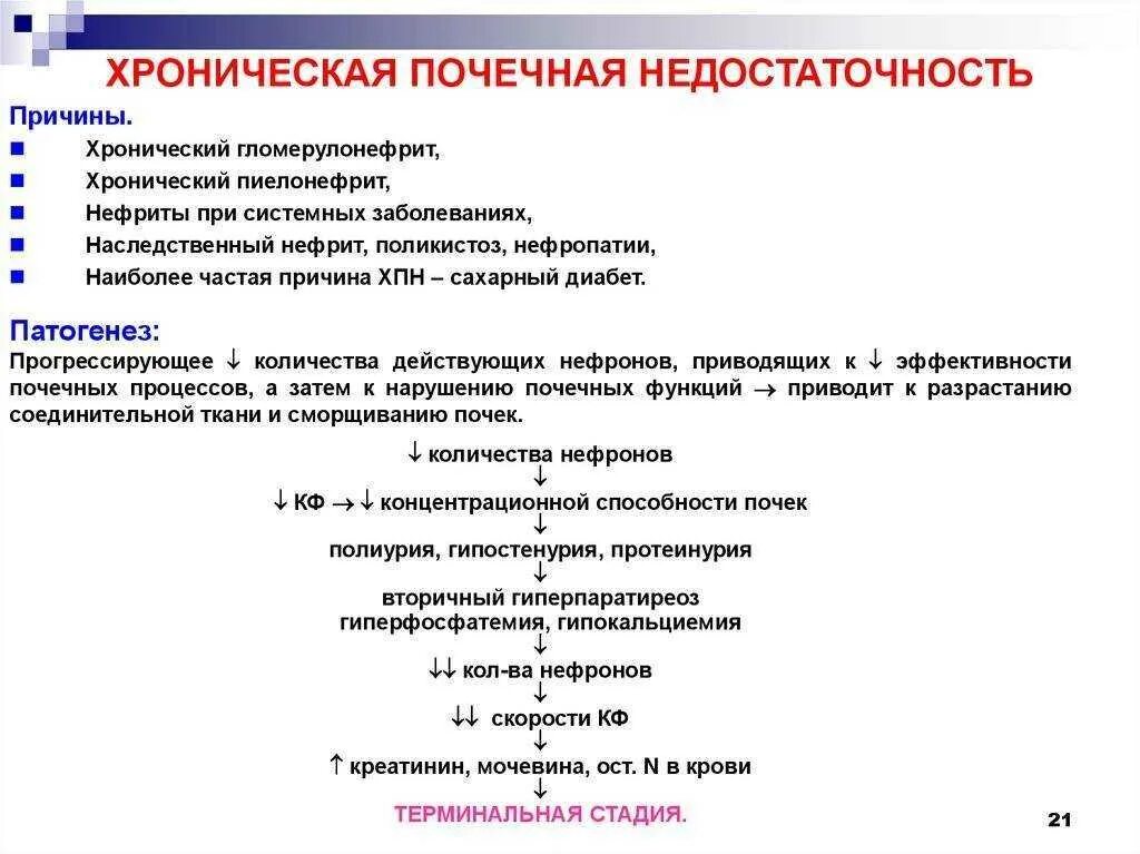 Причины развития терминальной почечной недостаточности. Патогенез развития хронической почечной недостаточности. Синдром почечной недостаточности патогенез. Принципы патогенетической терапии почечной недостаточности.