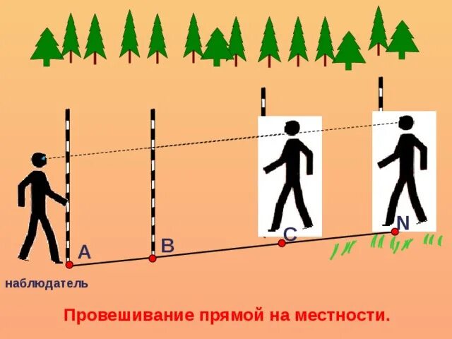 Провешивание прямых на местности. Что такое провешивание на местности. Провешивание прямой. Что такое провешивание в геометрии.