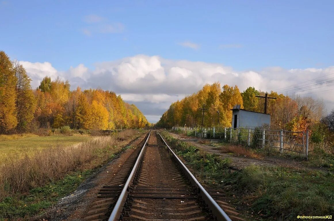 Пашково пензенская. Станция кустаревка. станция вернадовка. вернадовка тамбовская. морсово пензенская область земетчинский район.
