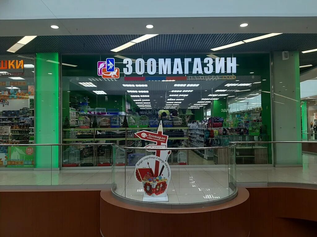магазин любимый великие луки. зоомагазин планета зоо тау. вывеска магазина для животных. 4 лапы глобус тула. белая акула александровка зоомагазин.