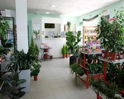 Батайск садовый