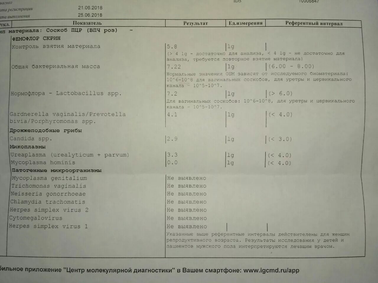 Расшифровка впч анализа у женщин в гинекологии