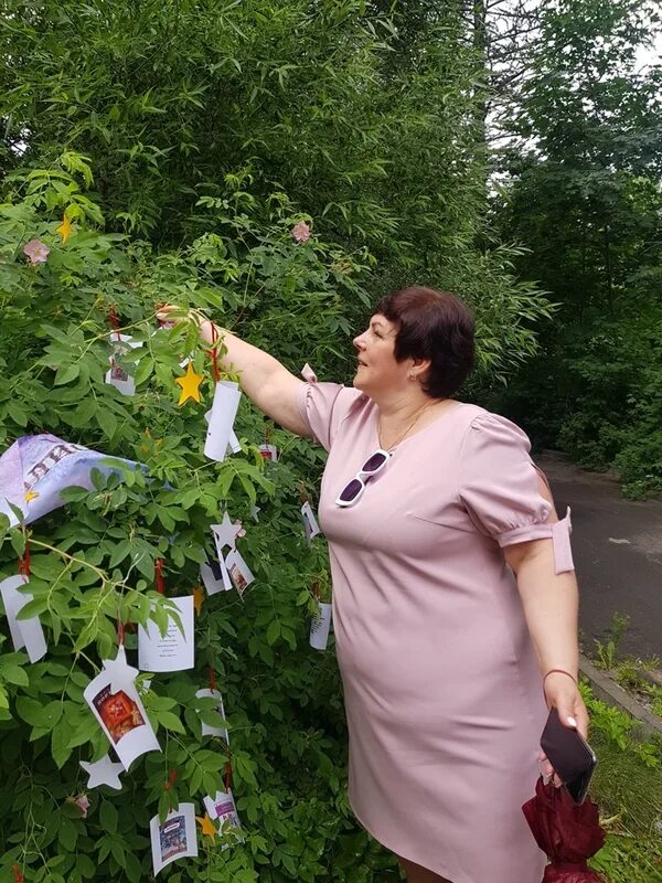 парк проект сегежа. библиотечные площадки на день города. линдозеро. сегежа парк. сегежа день города 2022.